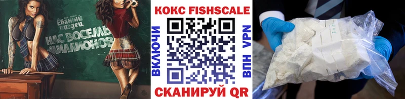 Кокаин Fish Scale  mega   Олонец 