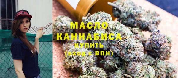 молекула духа Надым