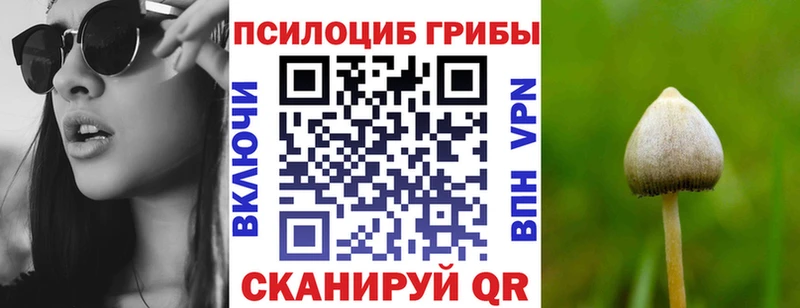Галлюциногенные грибы MAGIC MUSHROOMS  Олонец 